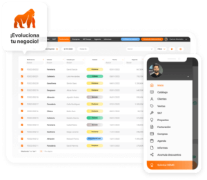 Ilustración secundaria Gestión Avanzada