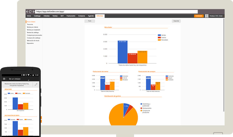 Informe de gestión online